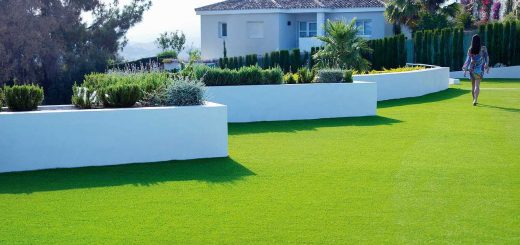 Find Out The Reasons To Choose Synthetic Grass Over The Natural Ones