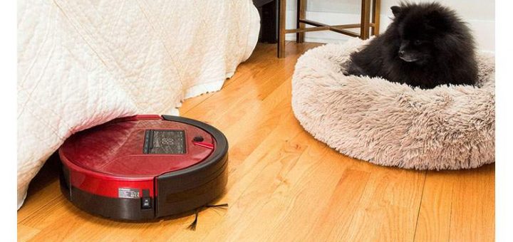 The Benefit Of Picking The Best Vacuum For Pet Hair!