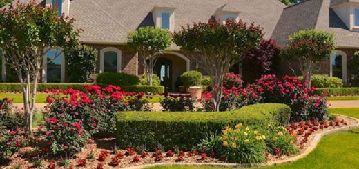 Finding Landscaping Services That Are of Proficient Quality