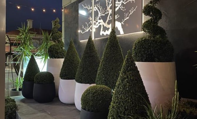 Affordable Bulk Planters 