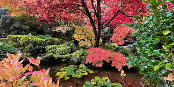 Improving Property Value Through Quality Lawn Care and Landscape Maintenance in Cincinnati